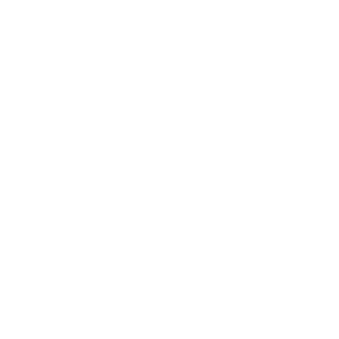 alt255new-2